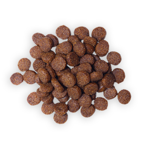 Dog food food-transparent-17